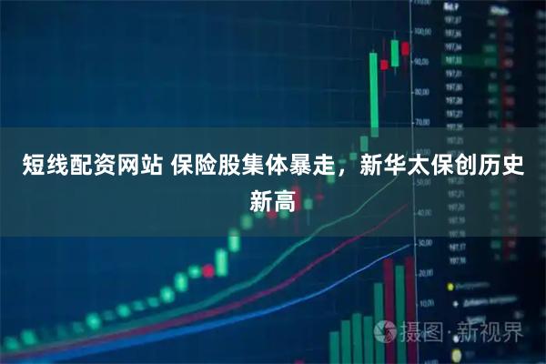 短线配资网站 保险股集体暴走，新华太保创历史新高